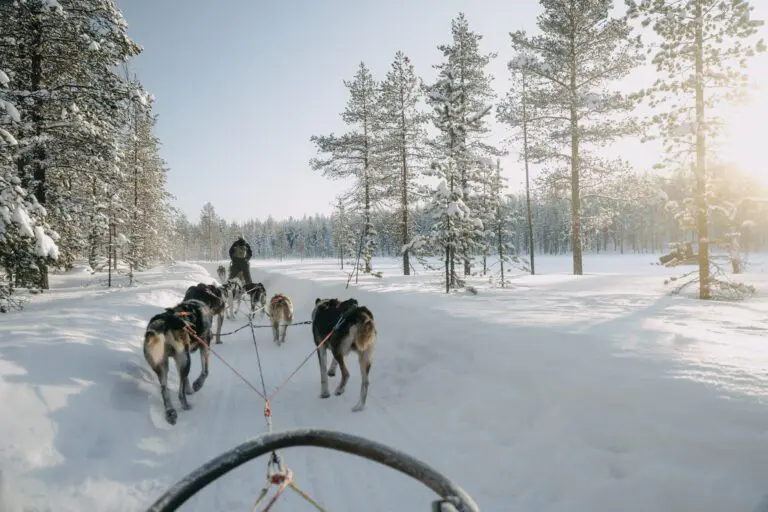 Fins Lapland