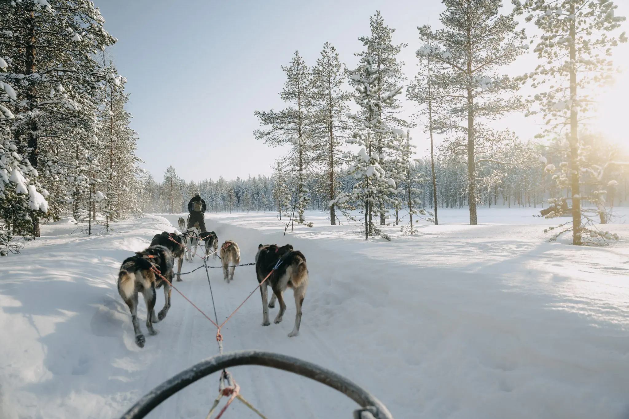 Fins Lapland