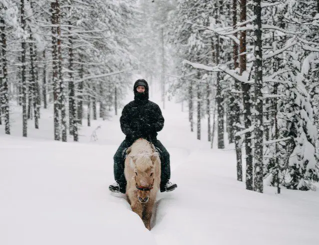 Paard Äkäslompolo