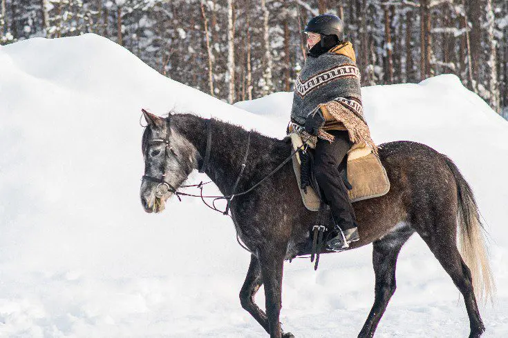 Lapland te paard