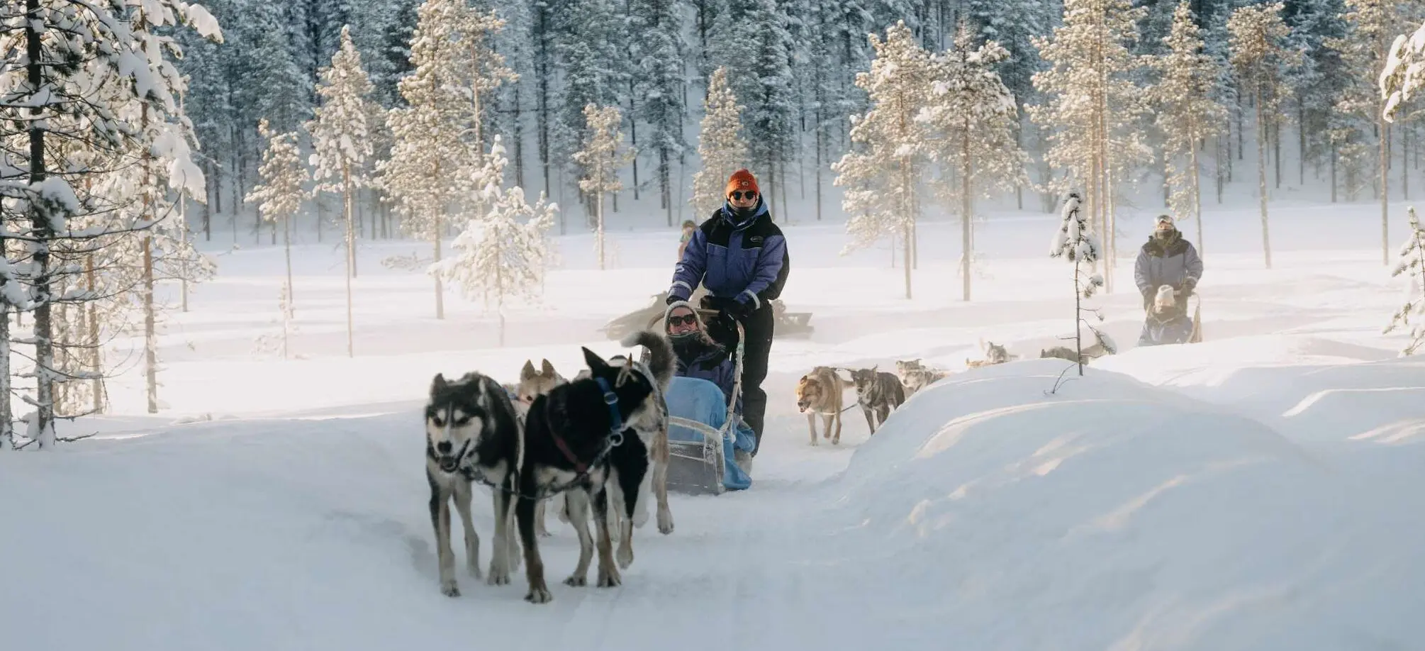Husky Sledge Lapland