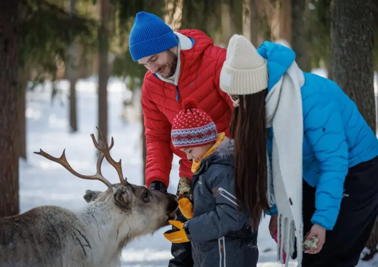 familie met kind bij rendier Lapland