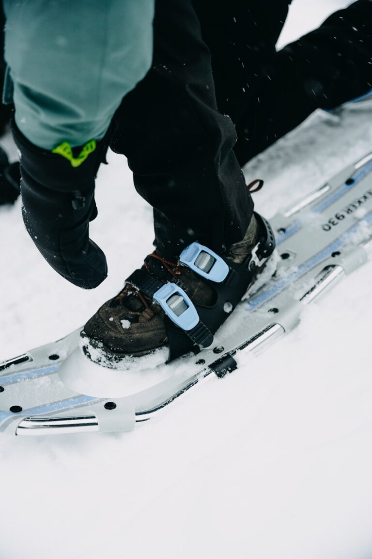 Snowshoe hike Lapland