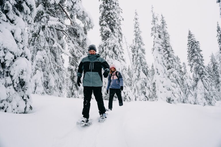 Snowshoe hike Lapland