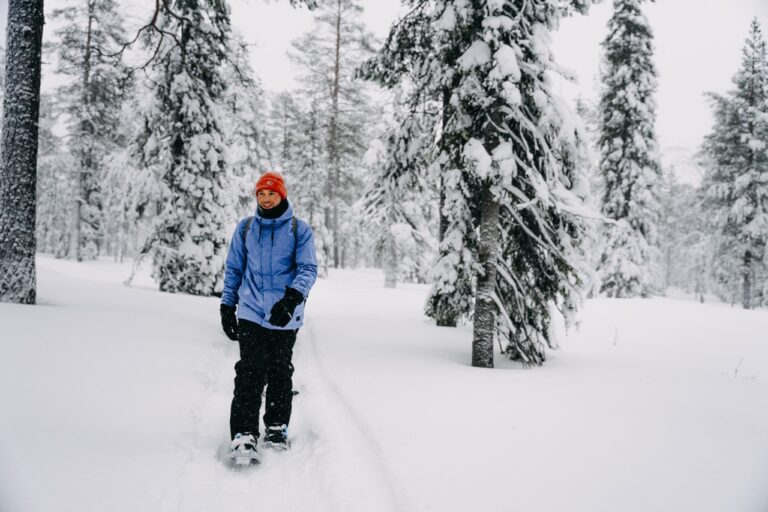 Snowshoe hike Lapland