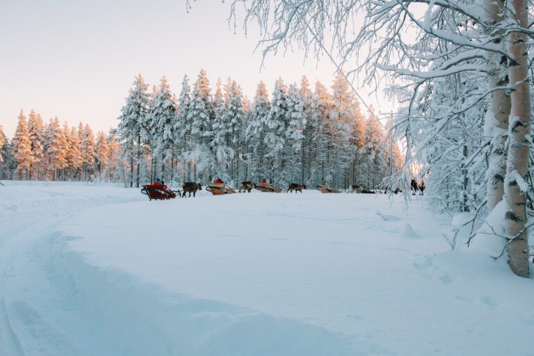 Reindeer ride