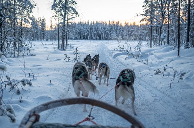 Reisjunk artikel Lapland