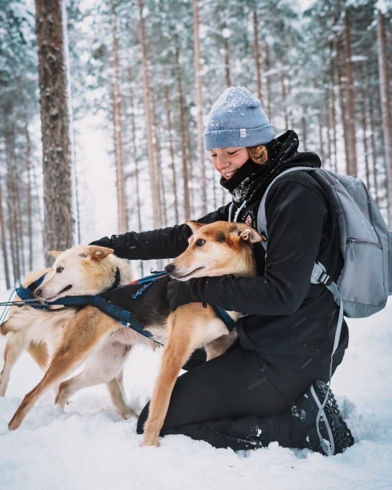 Lapland reizen - lapland travel - husky safari - noorderlicht